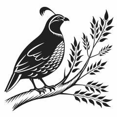 quail black silhouette icon vector