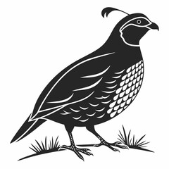 quail black silhouette icon vector