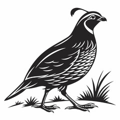 quail black silhouette icon vector