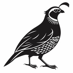 quail black silhouette icon vector