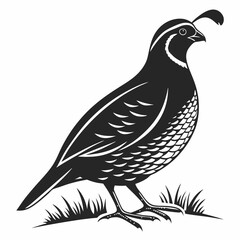 quail black silhouette icon vector