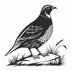 quail black silhouette icon vector