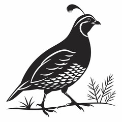 quail black silhouette icon vector