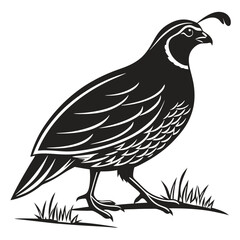 quail black silhouette icon vector