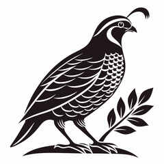 quail black silhouette icon vector