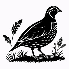quail black silhouette icon vector
