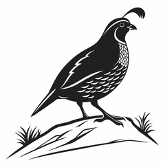 quail black silhouette icon vector