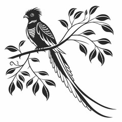 Quetzal black silhouette icon vector