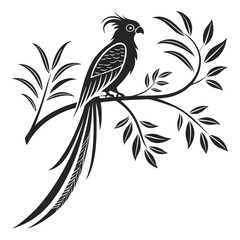 Quetzal black silhouette icon vector