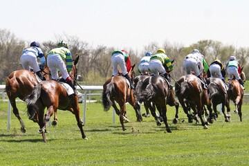 Caballos purasangre de carreras a galope en curva del hip&oacute;dromo con chaquetillas de color de sus jockeys de espaldas