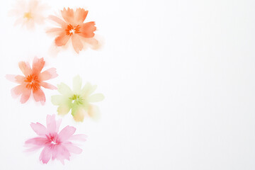 Fototapeta premium Watercolor floral background with soft pastel flowers on white paper, elegant botanical design with delicate petals and space for text