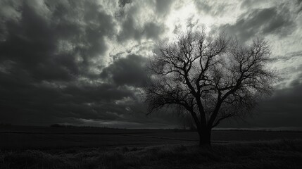 Solitary tree stands against stormy skies.