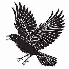 Robin black silhouette icon vector