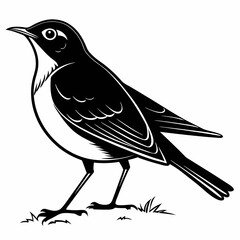 Robin black silhouette icon vector