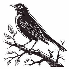 Robin black silhouette icon vector