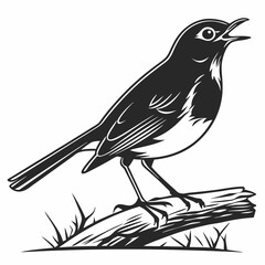 Robin black silhouette icon vector