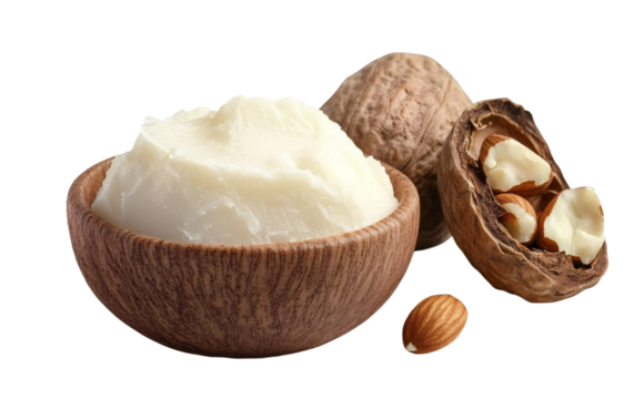 Natural shea butter and nuts isolated on white