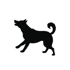 black cat silhouette