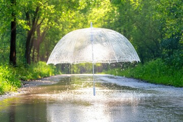 Obraz premium A clear umbrella rests on a wet road, trees and sunshine in the background, post rain shower