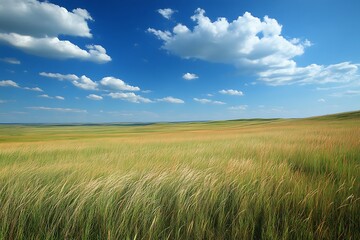 Fototapeta premium A wind-swept prairie with tall grass bending in the breeze, the open 