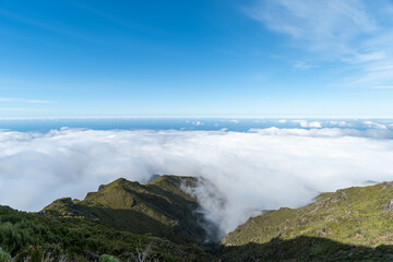 Rugged Trekking Path in the Mountains