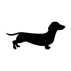 Dachshund Silhouette Vector