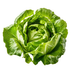 Fototapeta premium Fresh green iceberg lettuce isolated on transparent background ready for culinary use in salads and dishes, Green Iceberg lettuce isolated on transparent background