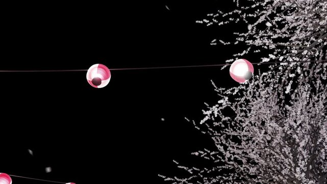 ちょうちんが吊り下げられている桜並木が風に揺られて花びらが舞うシームレスなループアニメーション動画

