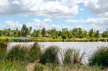 a scenic lake, wetland or water body with a lookout platform and reeds growing along the shoreline...
