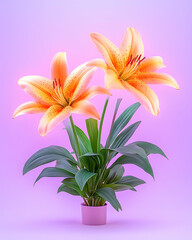 Naklejka premium Two orange lilies in a pink pot against a purple background