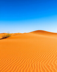 Vibrant orange sand dunes under a clear blue sky; a lone plant survives