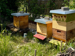 Colorful beehives in a blooming natural garden, with one hive painted with red tulips. Ideal habitat for honey bees in a vibrant, eco-friendly environment.