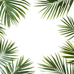 Fototapeta premium Tropical palm leaves arranged in a circular frame on a clean transparent background for a fresh, natural look, tropical nature green palm leaf in picture frame on transparent backgroundfile