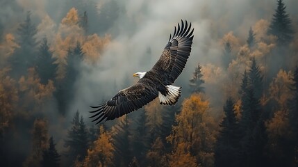 Majestic Eagle Soaring Above Misty Forest