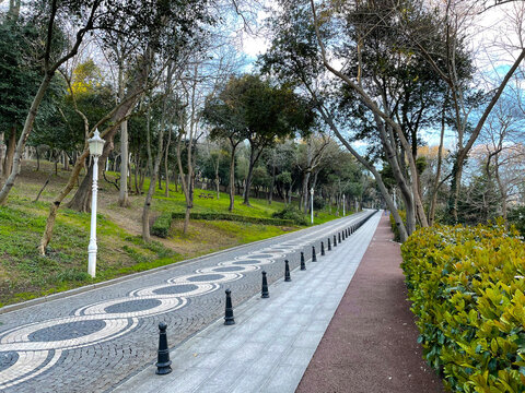 Paved path with lampposts lined by bushes and trees in landscaped city garden A trimmed walking path winds through manicured shrubs with warm lighting and soft shadows.