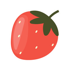 Fresh strawberry fruit illustration