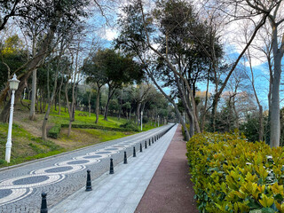 Winding park pathway edged by lush foliage and graceful lampposts in tranquil garden setting A...