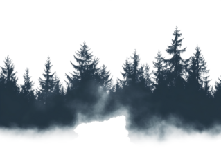 Silhouetted Rock and Foggy Forest at Dawn, PNG