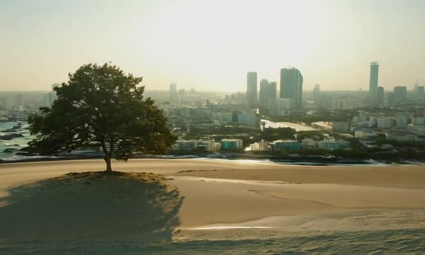 Lone Tree on Beach With City Background