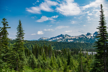 Obraz premium Mountain landscape. Forest nature with mount. Nature in mountain countryside. Scenery landscape of mountain. Scenery coniferous forest. Pine tree and mountain landscape with forest
