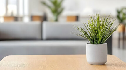 Potted Plant On Wooden Table In Modern Living Room