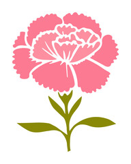 Pink carnation illustration isolated in white background.