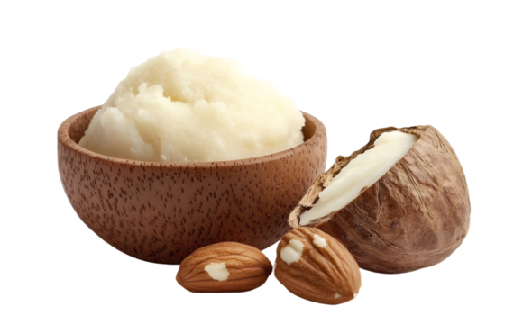 Natural shea butter and nuts isolated on white
