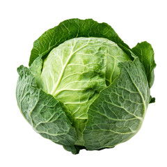 Obraz premium Fresh green cabbage isolated on a transparent background showcasing its crisp leaves and farmfresh quality, slice cabbage isolated on transparent background