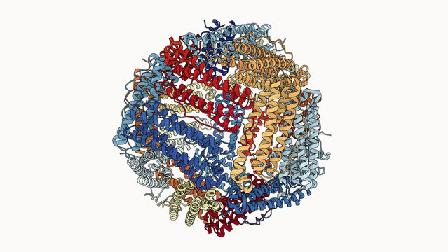 Ferritin Protein &ndash; Iron Storage Spherical Structure - PDB: 2FHA