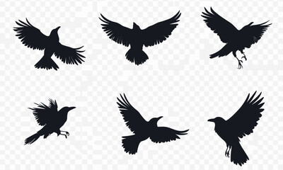 Obraz premium Set of crow silhouettes in different poses on transparent background vector