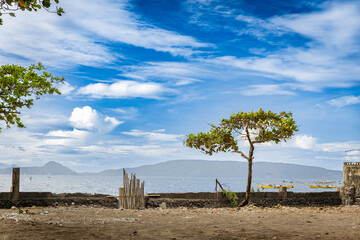 a pruned tree by the beach overlooking an island in the background and skies filled with clouds