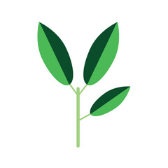 Vector image of green tree leaves icon with white background