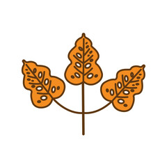 Vector image of an autumn tree leaves icon on a white background