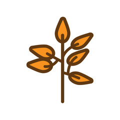 Vector image of an autumn tree leaves icon on a white background